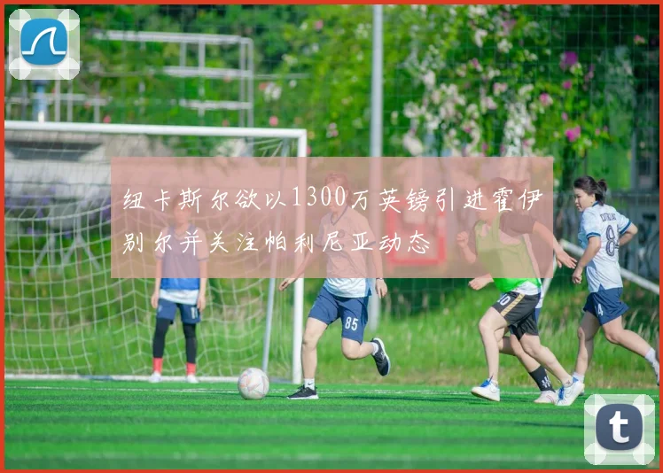 纽卡斯尔欲以1300万英镑引进霍伊别尔并关注帕利尼亚动态