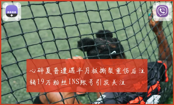 心碎夏普遭遇半月板撕裂重伤后注销19万粉丝INS账号引发关注